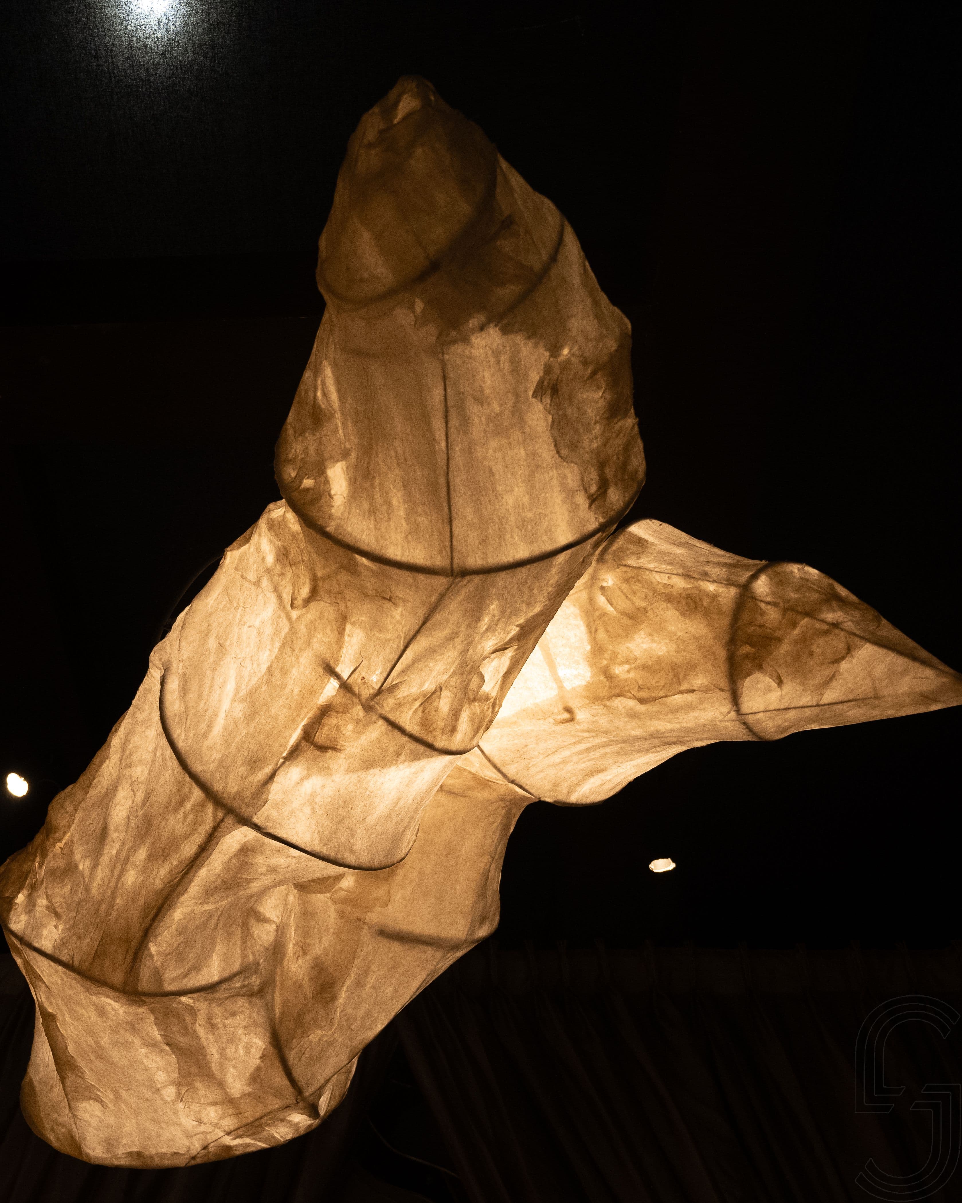 Project image 15